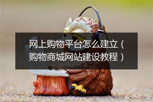 网上购物平台怎么建立(购物商城网站建设教程)