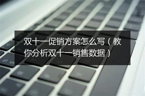 双十一促销方案怎么写(教你分析双十一销售数据)