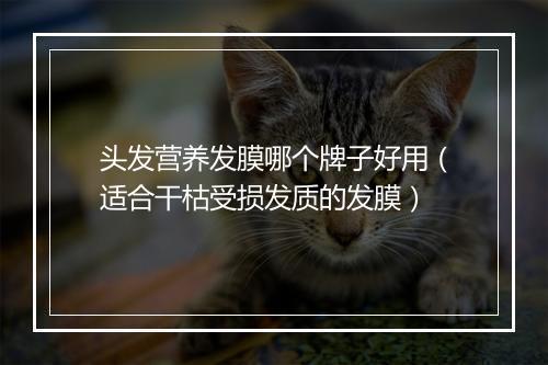 头发营养发膜哪个牌子好用(适合干枯受损发质的发膜)