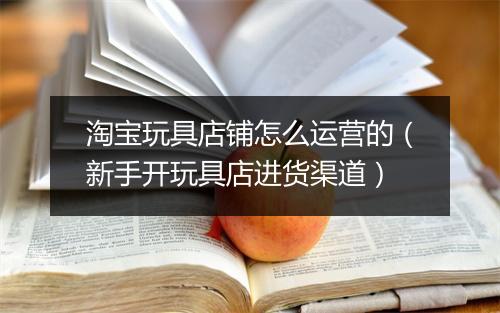 淘宝玩具店铺怎么运营的(新手开玩具店进货渠道)