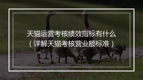 天猫运营考核绩效指标有什么(详解天猫考核营业额标准)