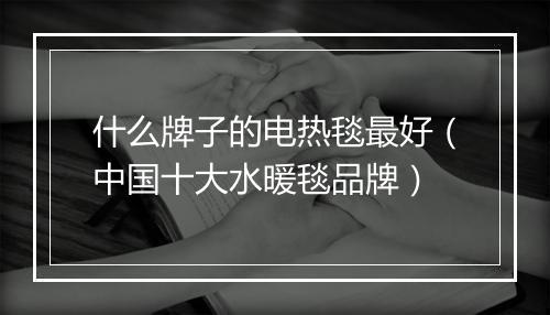 什么牌子的电热毯最好(中国十大水暖毯品牌)
