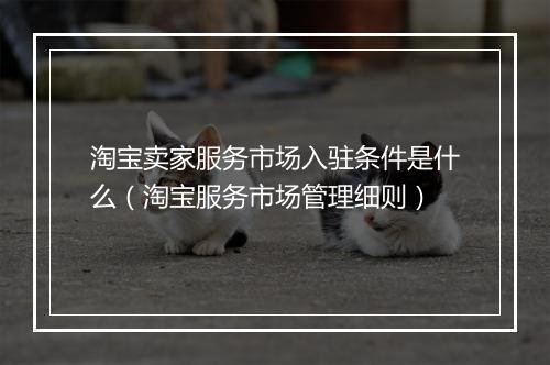 淘宝卖家服务市场入驻条件是什么(淘宝服务市场管理细则)