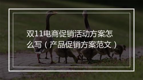 双11电商促销活动方案怎么写(产品促销方案范文)