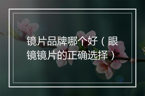 镜片品牌哪个好(眼镜镜片的正确选择)