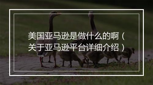 美国亚马逊是做什么的啊(关于亚马逊平台详细介绍)
