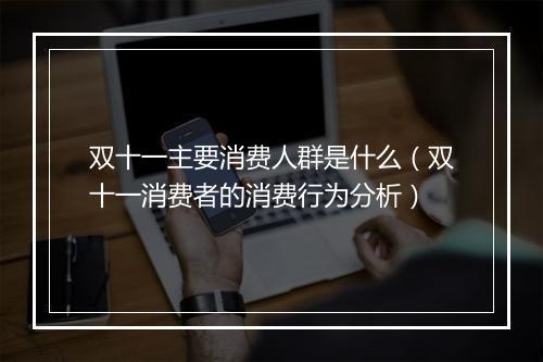 双十一主要消费人群是什么(双十一消费者的消费行为分析)