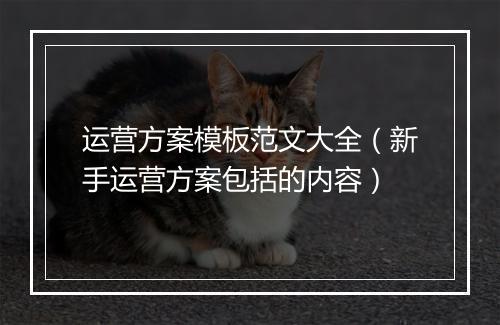 运营方案模板范文大全(新手运营方案包括的内容)
