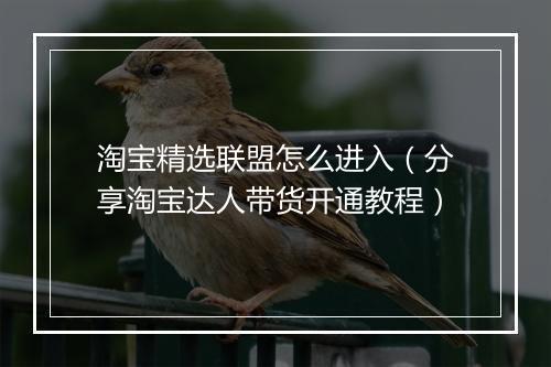 淘宝精选联盟怎么进入(分享淘宝达人带货开通教程)