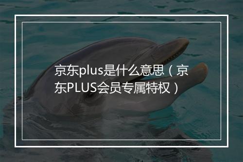 京东plus是什么意思(京东PLUS会员专属特权)