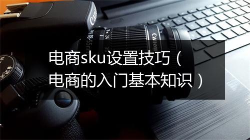 电商sku设置技巧(电商的入门基本知识)
