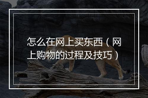 怎么在网上买东西(网上购物的过程及技巧)