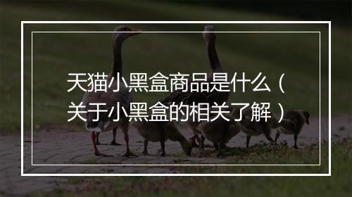 天猫小黑盒商品是什么(关于小黑盒的相关了解)
