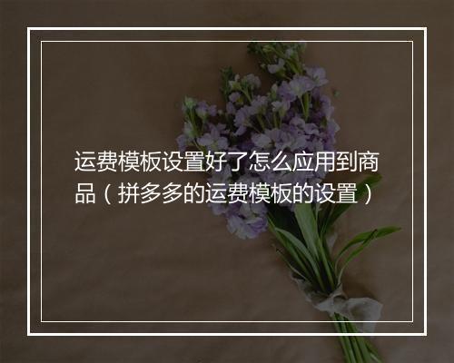 运费模板设置好了怎么应用到商品(拼多多的运费模板的设置)