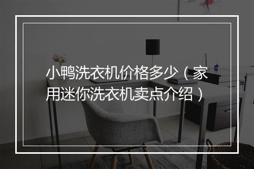 小鸭洗衣机价格多少(家用迷你洗衣机卖点介绍)