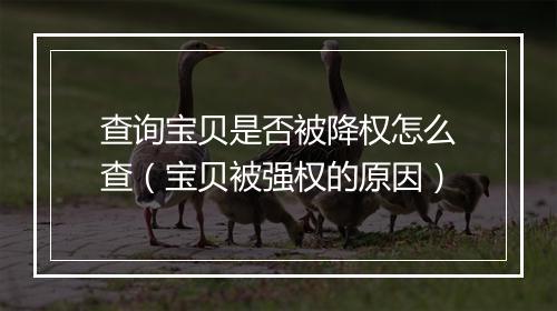 查询宝贝是否被降权怎么查(宝贝被强权的原因)
