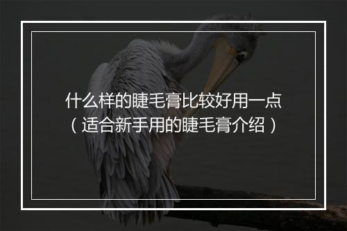 什么样的睫毛膏比较好用一点(适合新手用的睫毛膏介绍)