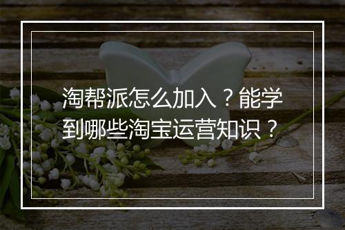 淘帮派怎么加入?能学到哪些淘宝运营知识?
