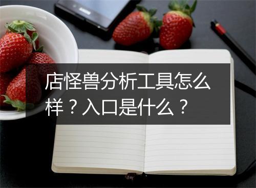 店怪兽分析工具怎么样?入口是什么?