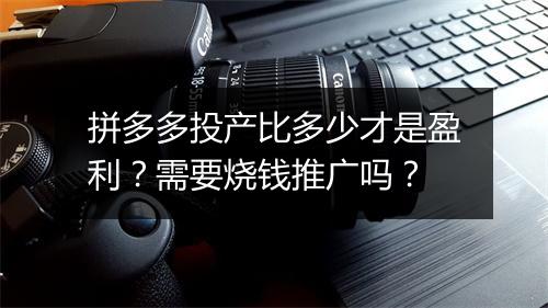 拼多多投产比多少才是盈利?需要烧钱推广吗?