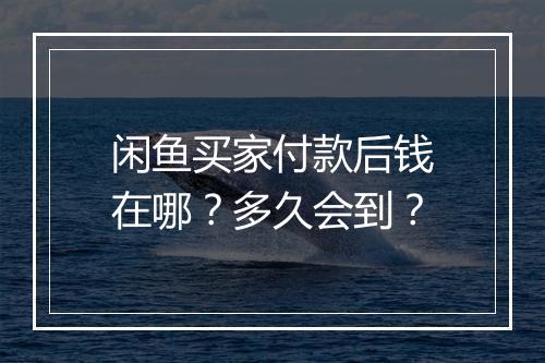 闲鱼买家付款后钱在哪?多久会到?