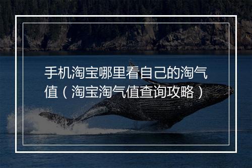 手机淘宝哪里看自己的淘气值(淘宝淘气值查询攻略)