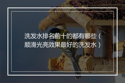 洗发水排名前十的都有哪些(顺滑光亮效果最好的洗发水)