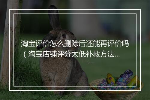 淘宝评价怎么删除后还能再评价吗(淘宝店铺评分太低补救方法)