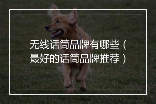 无线话筒品牌有哪些(最好的话筒品牌推荐)