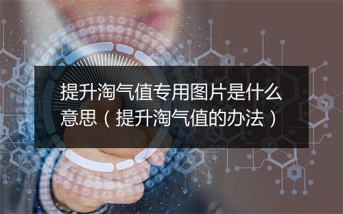 提升淘气值专用图片是什么意思(提升淘气值的办法)