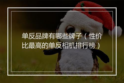 单反品牌有哪些牌子(性价比最高的单反相机排行榜)