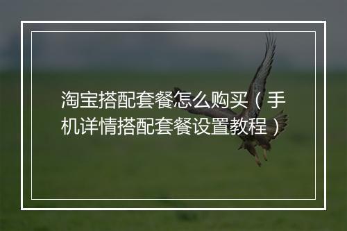 淘宝搭配套餐怎么购买(手机详情搭配套餐设置教程)