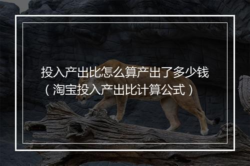 投入产出比怎么算产出了多少钱(淘宝投入产出比计算公式)