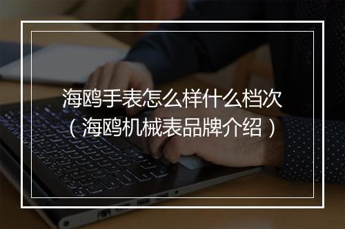 海鸥手表怎么样什么档次(海鸥机械表品牌介绍)