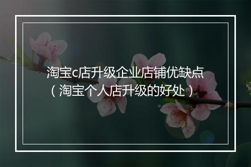 淘宝c店升级企业店铺优缺点(淘宝个人店升级的好处)