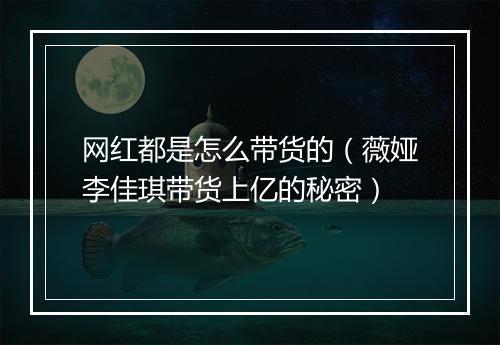 网红都是怎么带货的(薇娅李佳琪带货上亿的秘密)