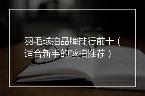 羽毛球拍品牌排行前十(适合新手的球拍推荐)