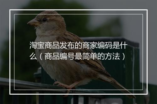 淘宝商品发布的商家编码是什么(商品编号最简单的方法)