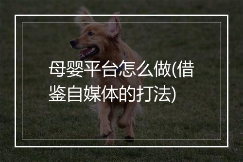 母婴平台怎么做(借鉴自媒体的打法)
