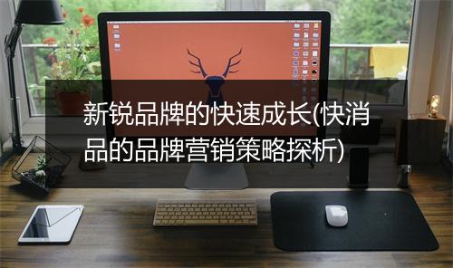 新锐品牌的快速成长(快消品的品牌营销策略探析)
