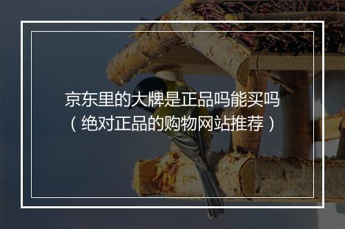 京东里的大牌是正品吗能买吗(绝对正品的购物网站推荐)