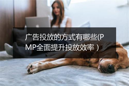 广告投放的方式有哪些(PMP全面提升投放效率)