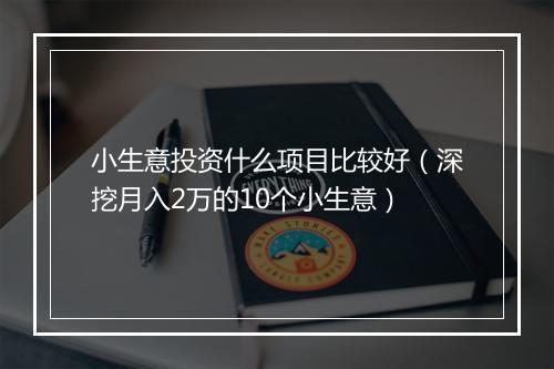 小生意投资什么项目比较好(深挖月入2万的10个小生意)