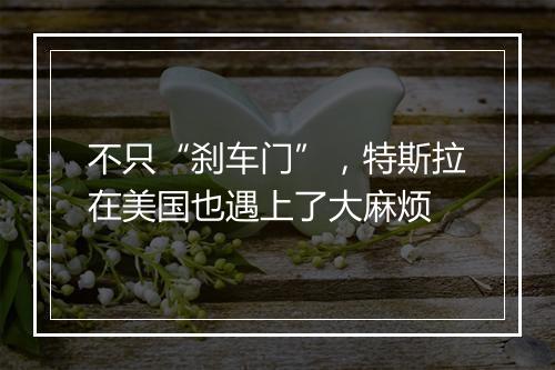 不只“刹车门”,特斯拉在美国也遇上了大麻烦