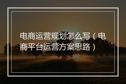 电商运营规划怎么写(电商平台运营方案思路)