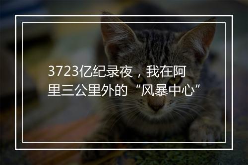 3723亿纪录夜,我在阿里三公里外的“风暴中心”