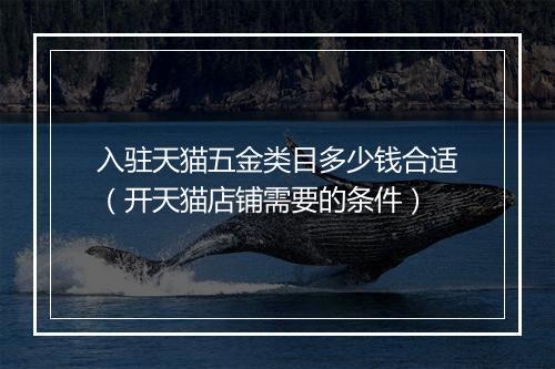 入驻天猫五金类目多少钱合适(开天猫店铺需要的条件)
