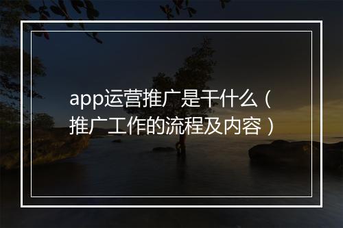 app运营推广是干什么(推广工作的流程及内容)