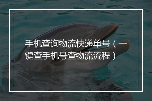 手机查询物流快递单号(一键查手机号查物流流程)