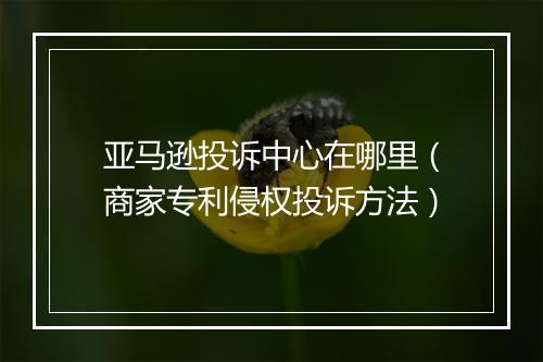 亚马逊投诉中心在哪里(商家专利侵权投诉方法)